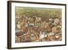 Aerial View of Atlanta, Georgia-null-Framed Art Print