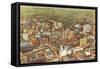 Aerial View of Atlanta, Georgia-null-Framed Stretched Canvas