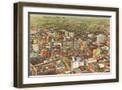 Brown Frame