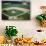 Aerial View of Baseball Game-null-Photographic Print displayed on a wall