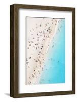 Aerial view of beach in summer with people. Zakynthos, Greek Islands, Greece-Matteo Colombo-Framed Photographic Print