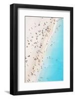 Aerial view of beach in summer with people. Zakynthos, Greek Islands, Greece-Matteo Colombo-Framed Photographic Print