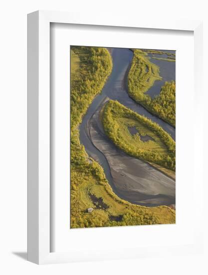 Aerial View of Birch Trees in the Laitaure Delta, Sarek Np, Laponia World Heritage Site, Sweden-Cairns-Framed Photographic Print