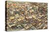 Aerial View of Birmingham, Alabama-null-Stretched Canvas