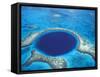 Aerial View of Blue Hole at Lighthouse Reef, Belize-Greg Johnston-Framed Stretched Canvas