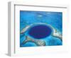 Aerial View of Blue Hole at Lighthouse Reef, Belize-Greg Johnston-Framed Photographic Print