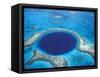 Aerial View of Blue Hole at Lighthouse Reef, Belize-Greg Johnston-Framed Stretched Canvas