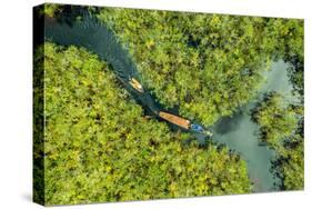 Aerial view of boat crossing through the deep jungle, Yanomami tribe, southern Venezuela-Michael Runkel-Stretched Canvas