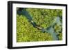 Aerial view of boat crossing through the deep jungle, Yanomami tribe, southern Venezuela-Michael Runkel-Framed Photographic Print
