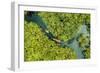 Aerial view of boat crossing through the deep jungle, Yanomami tribe, southern Venezuela-Michael Runkel-Framed Photographic Print