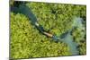 Aerial view of boat crossing through the deep jungle, Yanomami tribe, southern Venezuela-Michael Runkel-Mounted Photographic Print