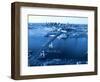 Aerial View of Boston, MA-Jeffrey Rotman-Framed Photographic Print