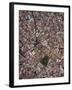 Aerial view of Cadiz, by drone, Andalucia, Spain-Ben Pipe-Framed Photographic Print