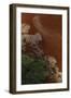 Aerial view of Caribbean flamingo flock, Yucatan, Mexico-Claudio Contreras-Framed Photographic Print