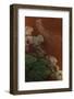 Aerial view of Caribbean flamingo flock, Yucatan, Mexico-Claudio Contreras-Framed Photographic Print