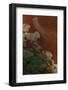 Aerial view of Caribbean flamingo flock, Yucatan, Mexico-Claudio Contreras-Framed Photographic Print