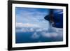 Aerial view of Caribbean sea from propeller of airplane, Saint Vincent Island, Saint Vincent And...-null-Framed Photographic Print