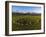 Aerial view of Castlerigg Stone Circle and Catbells, Lake District National Park-Ian Egner-Framed Photographic Print