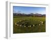 Aerial view of Castlerigg Stone Circle and Catbells, Lake District National Park-Ian Egner-Framed Photographic Print