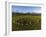 Aerial view of Castlerigg Stone Circle and Catbells, Lake District National Park-Ian Egner-Framed Photographic Print