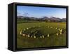 Aerial view of Castlerigg Stone Circle and Catbells, Lake District National Park-Ian Egner-Framed Stretched Canvas