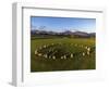 Aerial view of Castlerigg Stone Circle and Catbells, Lake District National Park-Ian Egner-Framed Photographic Print