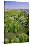 Aerial view of Central Park in spring near Columbus Circle in Manhattan, New York City, New York-null-Stretched Canvas