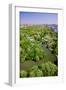 Aerial view of Central Park in spring near Columbus Circle in Manhattan, New York City, New York-null-Framed Photographic Print