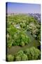 Aerial view of Central Park in spring near Columbus Circle in Manhattan, New York City, New York-null-Stretched Canvas