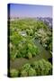 Aerial view of Central Park in spring near Columbus Circle in Manhattan, New York City, New York-null-Stretched Canvas