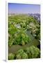 Aerial view of Central Park in spring near Columbus Circle in Manhattan, New York City, New York-null-Framed Photographic Print