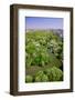 Aerial view of Central Park in spring near Columbus Circle in Manhattan, New York City, New York-null-Framed Photographic Print