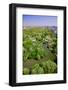 Aerial view of Central Park in spring near Columbus Circle in Manhattan, New York City, New York-null-Framed Photographic Print