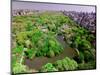 Aerial view of Central Park in spring near Columbus Circle in Manhattan, New York City, New York-null-Mounted Photographic Print