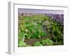 Aerial view of Central Park in spring near Columbus Circle in Manhattan, New York City, New York-null-Framed Photographic Print