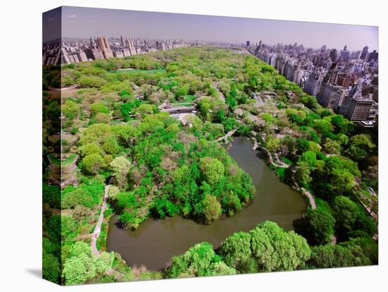 Aerial view of Central Park in spring near Columbus Circle in Manhattan, New York City, New York-null-Stretched Canvas