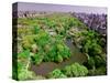 Aerial view of Central Park in spring near Columbus Circle in Manhattan, New York City, New York-null-Stretched Canvas