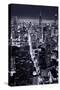 Aerial View of Chicago Downtown-Andrew Bayda-Stretched Canvas