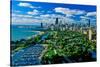Aerial View of Chicago, Illinois-null-Stretched Canvas