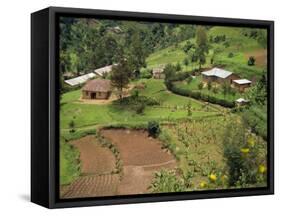 Aerial View of Children Leaving School and Terraced Fields, Kabale, Uganda, Africa-Poole David-Framed Stretched Canvas