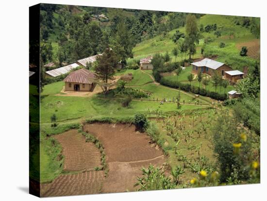 Aerial View of Children Leaving School and Terraced Fields, Kabale, Uganda, Africa-Poole David-Stretched Canvas