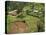 Aerial View of Children Leaving School and Terraced Fields, Kabale, Uganda, Africa-Poole David-Stretched Canvas