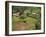 Aerial View of Children Leaving School and Terraced Fields, Kabale, Uganda, Africa-Poole David-Framed Photographic Print