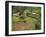 Aerial View of Children Leaving School and Terraced Fields, Kabale, Uganda, Africa-Poole David-Framed Photographic Print
