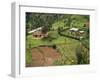 Aerial View of Children Leaving School and Terraced Fields, Kabale, Uganda, Africa-Poole David-Framed Photographic Print