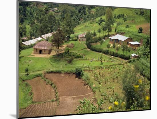 Aerial View of Children Leaving School and Terraced Fields, Kabale, Uganda, Africa-Poole David-Mounted Photographic Print
