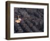 Aerial View of City at Night Including a Floodlit Mosque, Damascus, Syria, Middle East-Christian Kober-Framed Photographic Print