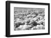 Aerial View of Clouds, Central America-Keren Su-Framed Photographic Print