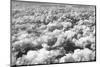 Aerial View of Clouds, Central America-Keren Su-Mounted Photographic Print