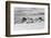 Aerial View of Clouds, Guyana-Keren Su-Framed Photographic Print